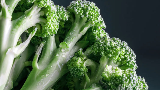 Broccoli Sprouts Benefits: Is Sulforaphane Anti-Ageing?