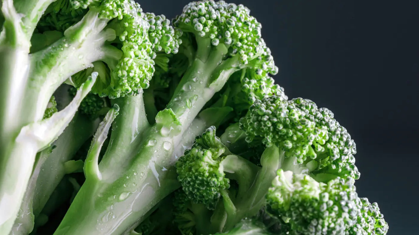 Broccoli Sprouts Benefits: Is Sulforaphane Anti-Ageing? | Naturecan Naturecan UK Broccoli Sprouts Benefits: Is Sulforaphane Anti-Ageing? | Naturecan Naturecan UK