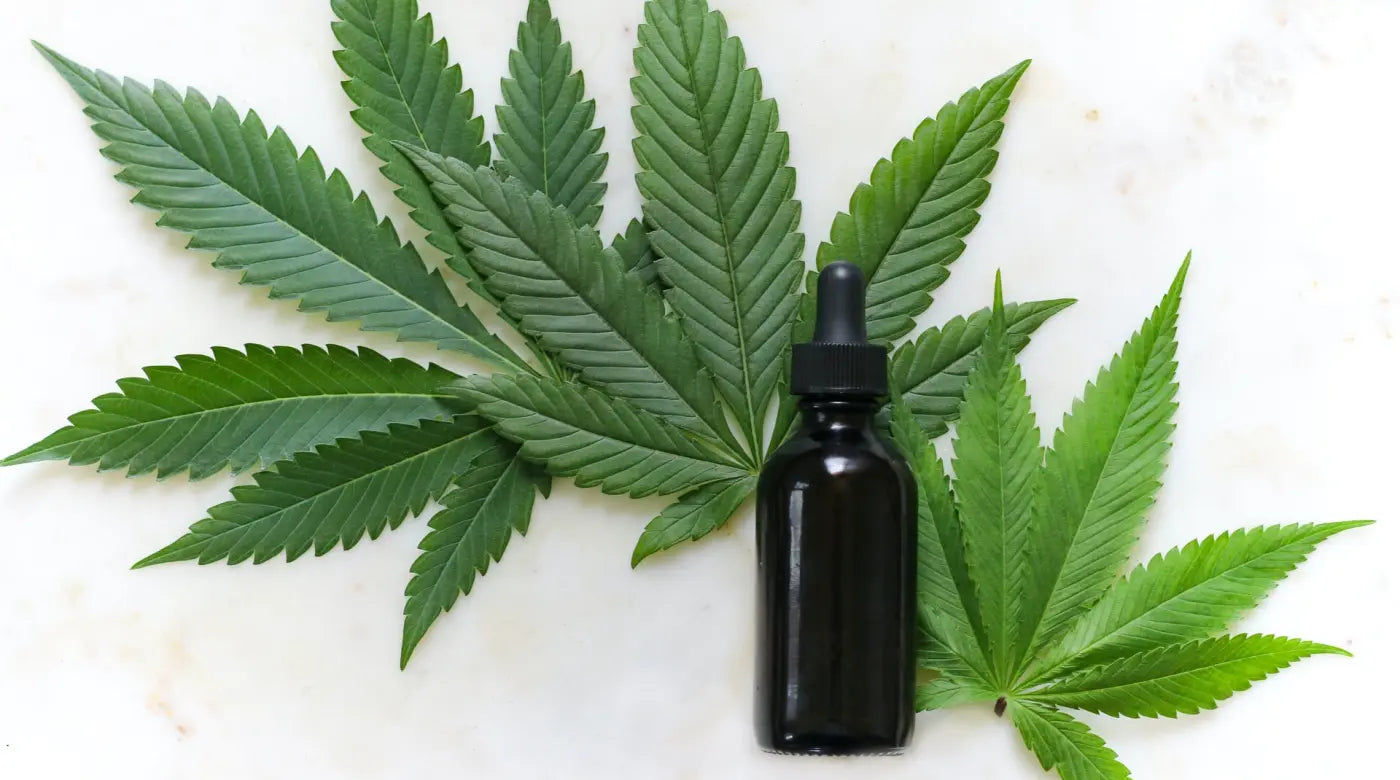 HHC vs THC vs CBD: What are the differences?