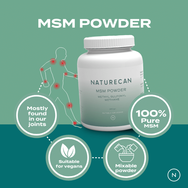 msm powder benefits infographic