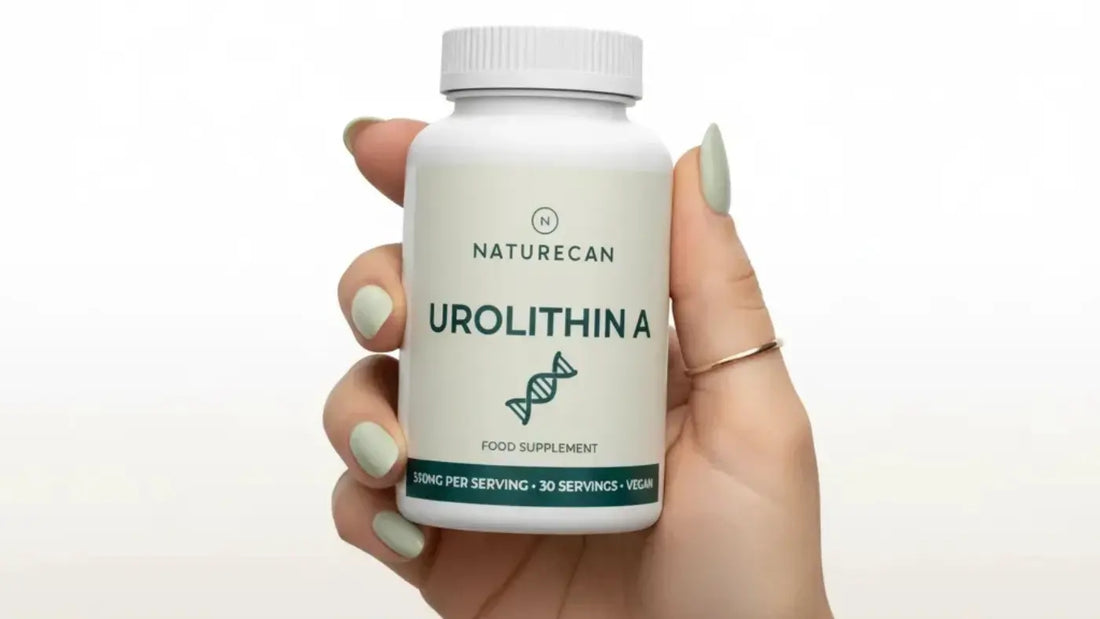 What Is Urolithin A? Uses, Intake And Safety
