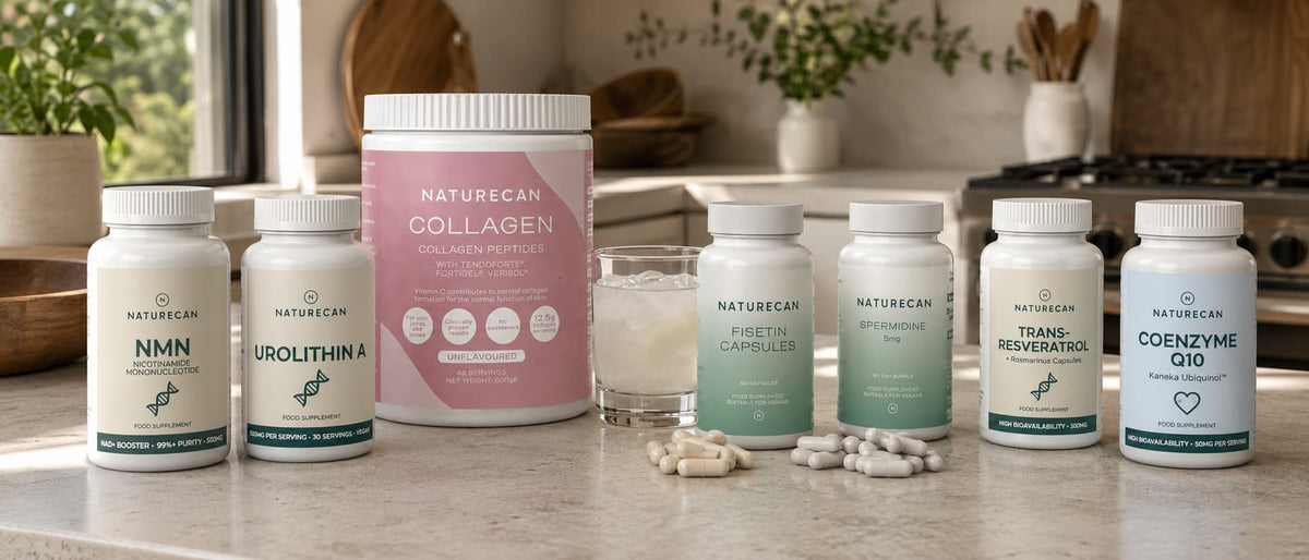 Best Longevity Supplements UK (2026)