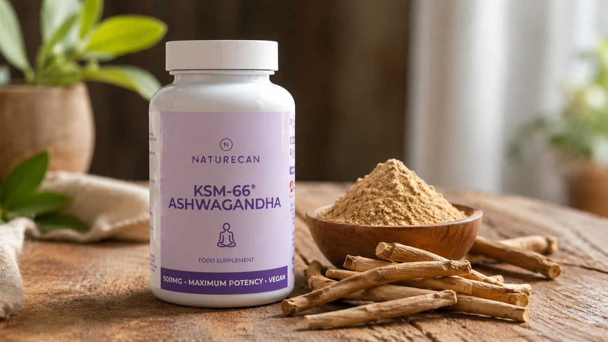 What is Ashwagandha? Benefits, Side Effects & What to Look For (2026)