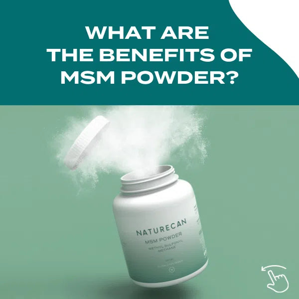 msm powder benefits