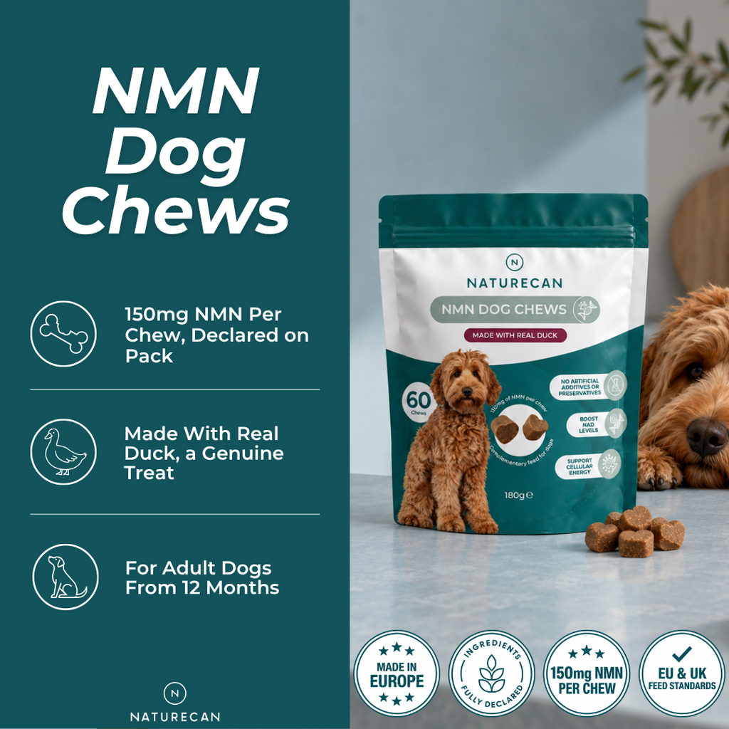 NMN Dog Chews