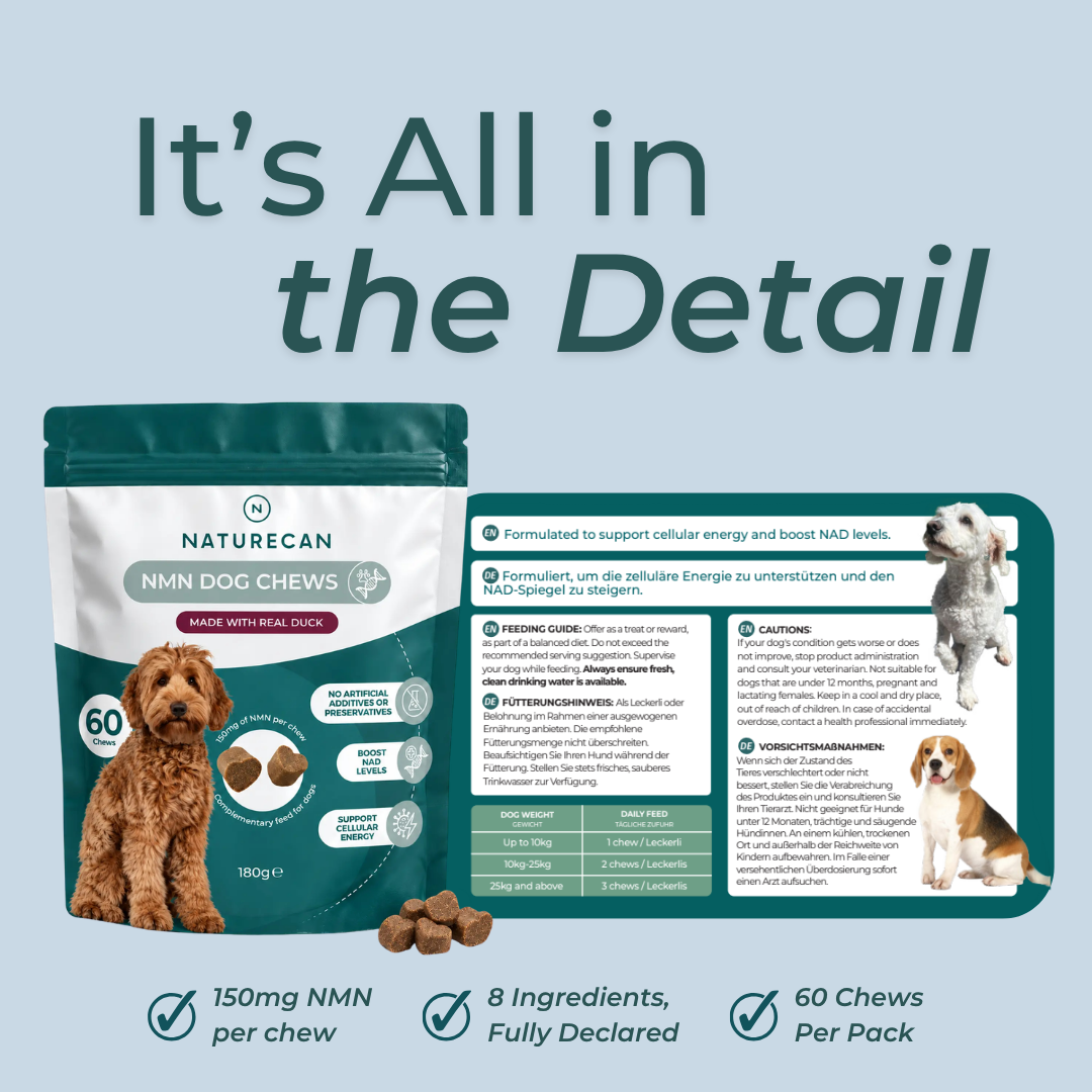 NMN Dog Chews