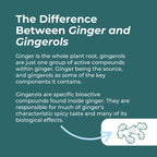 Organic Ginger Supplement