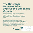 Egg White Protein Powder