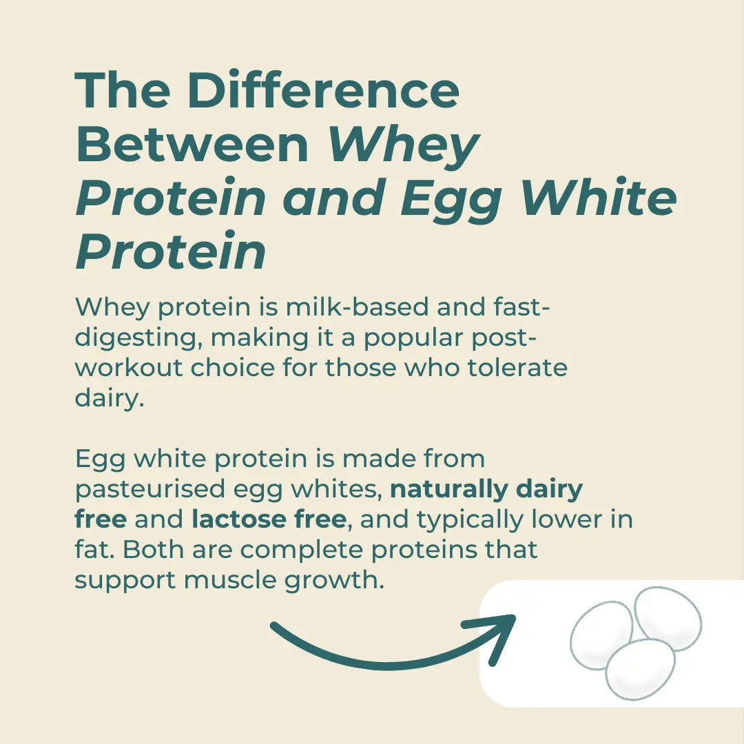 Egg White Protein Powder