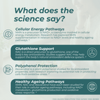 Healthy-Ageing Longevity Bundle