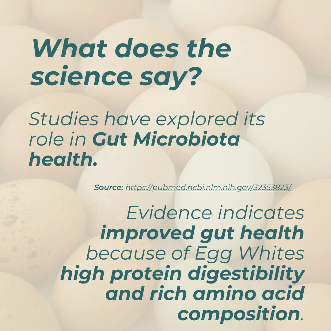 Egg White Protein Powder