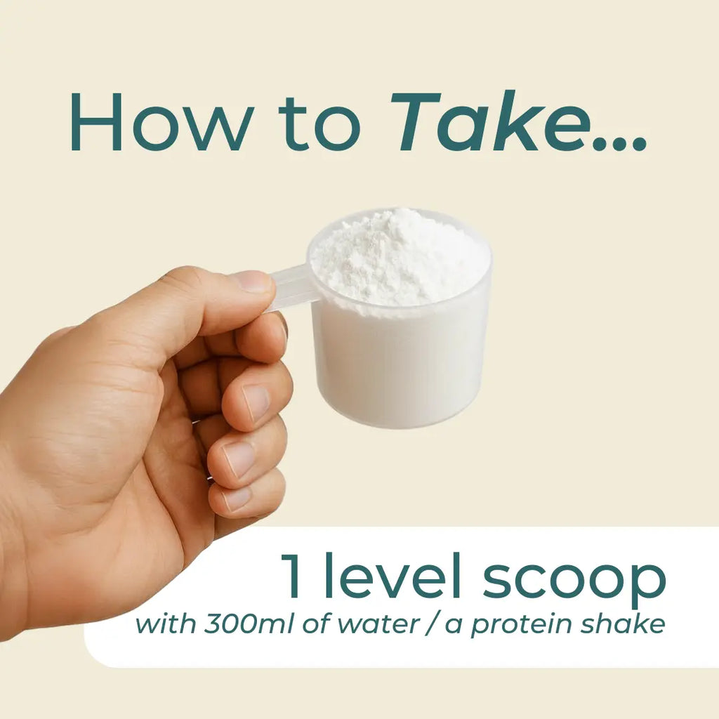 Egg White Protein Powder
