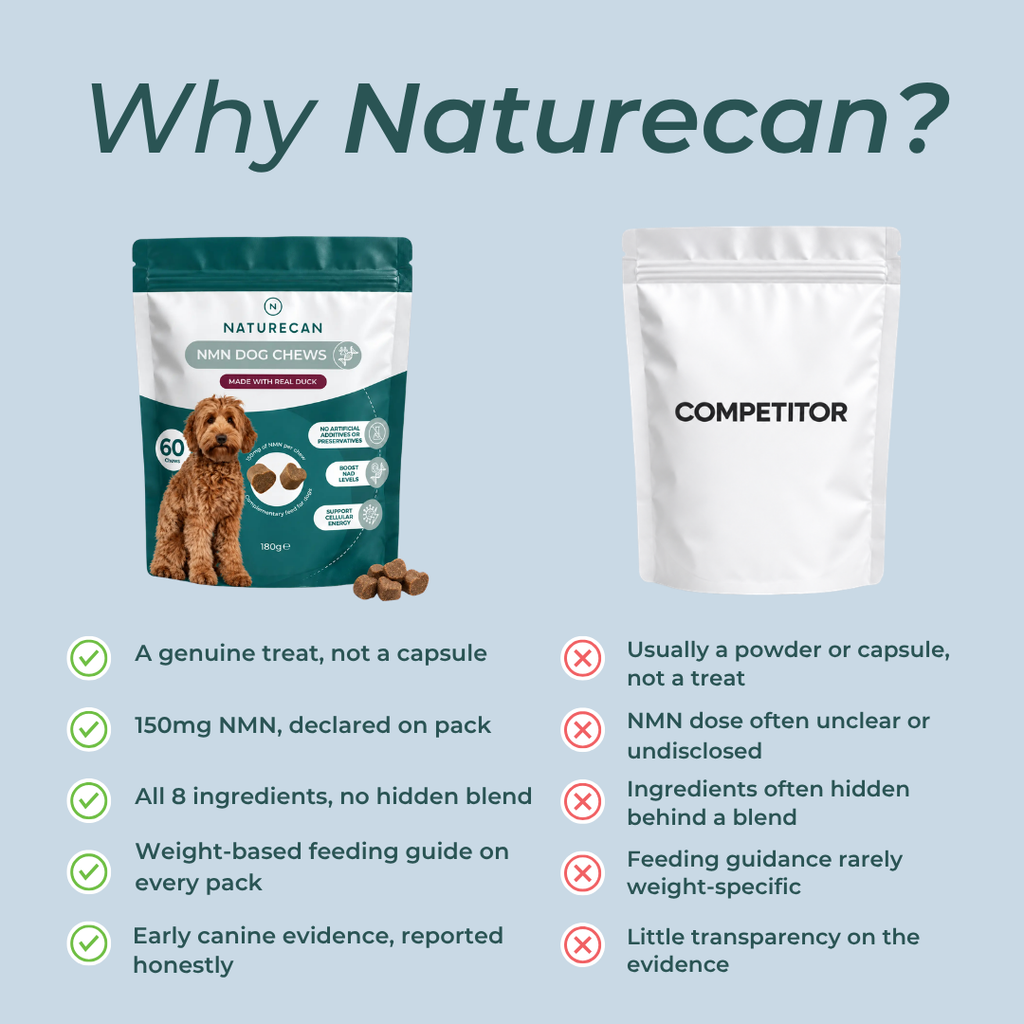 NMN Dog Chews