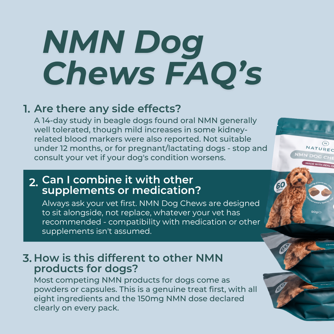NMN Dog Chews