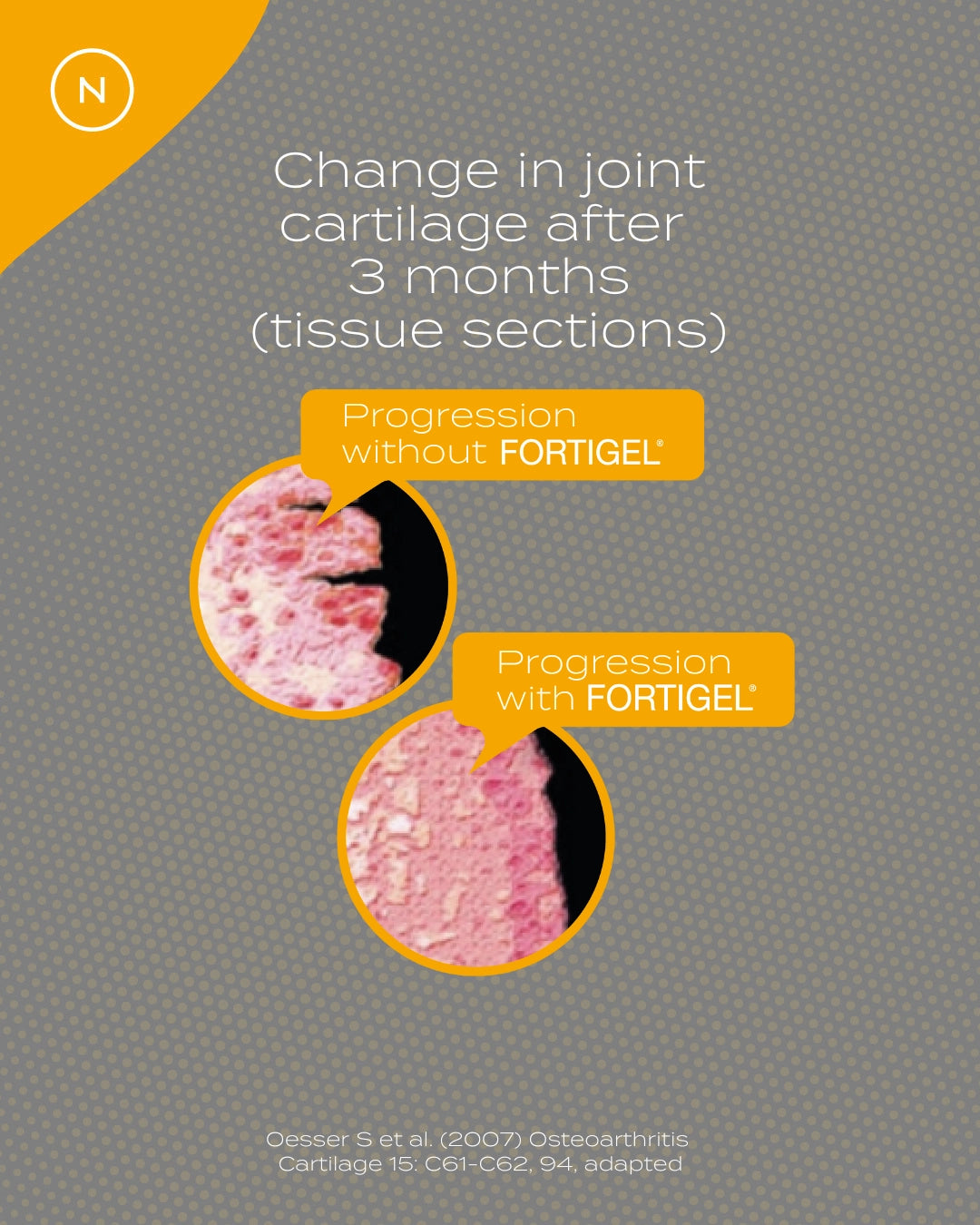 Collagen Peptide Powder
