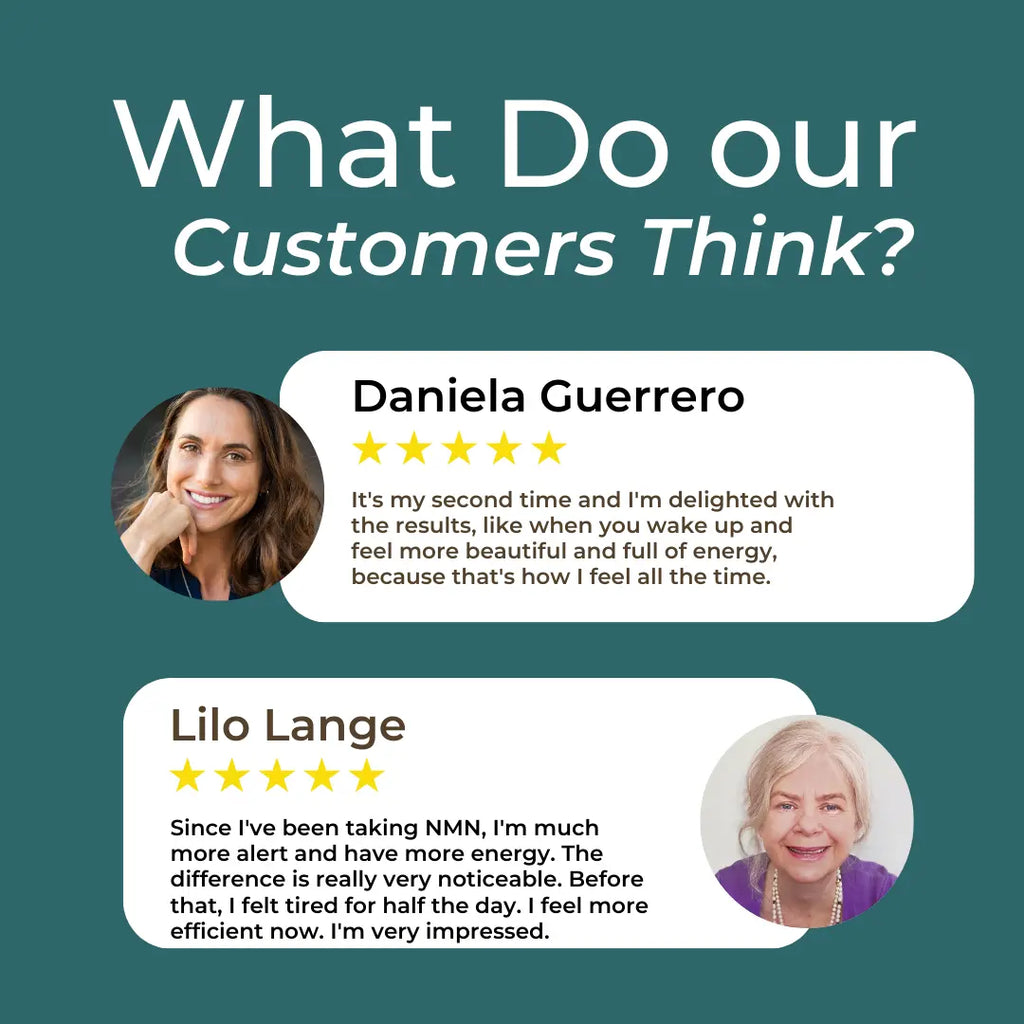 NMN Supplement