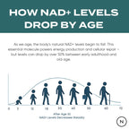 how NAD+ levels drop by age