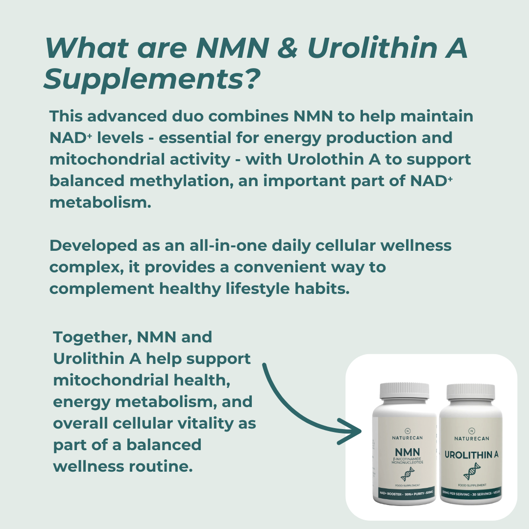 Mitochondrial Supplements Bundle