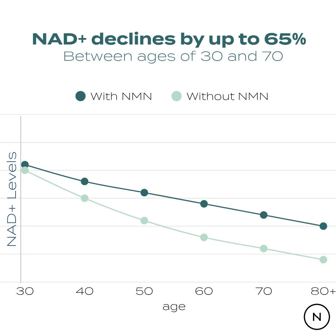 Graph showing NAD+ decline by up to 65% between ages 30 and 70, comparing levels with and without NMN.