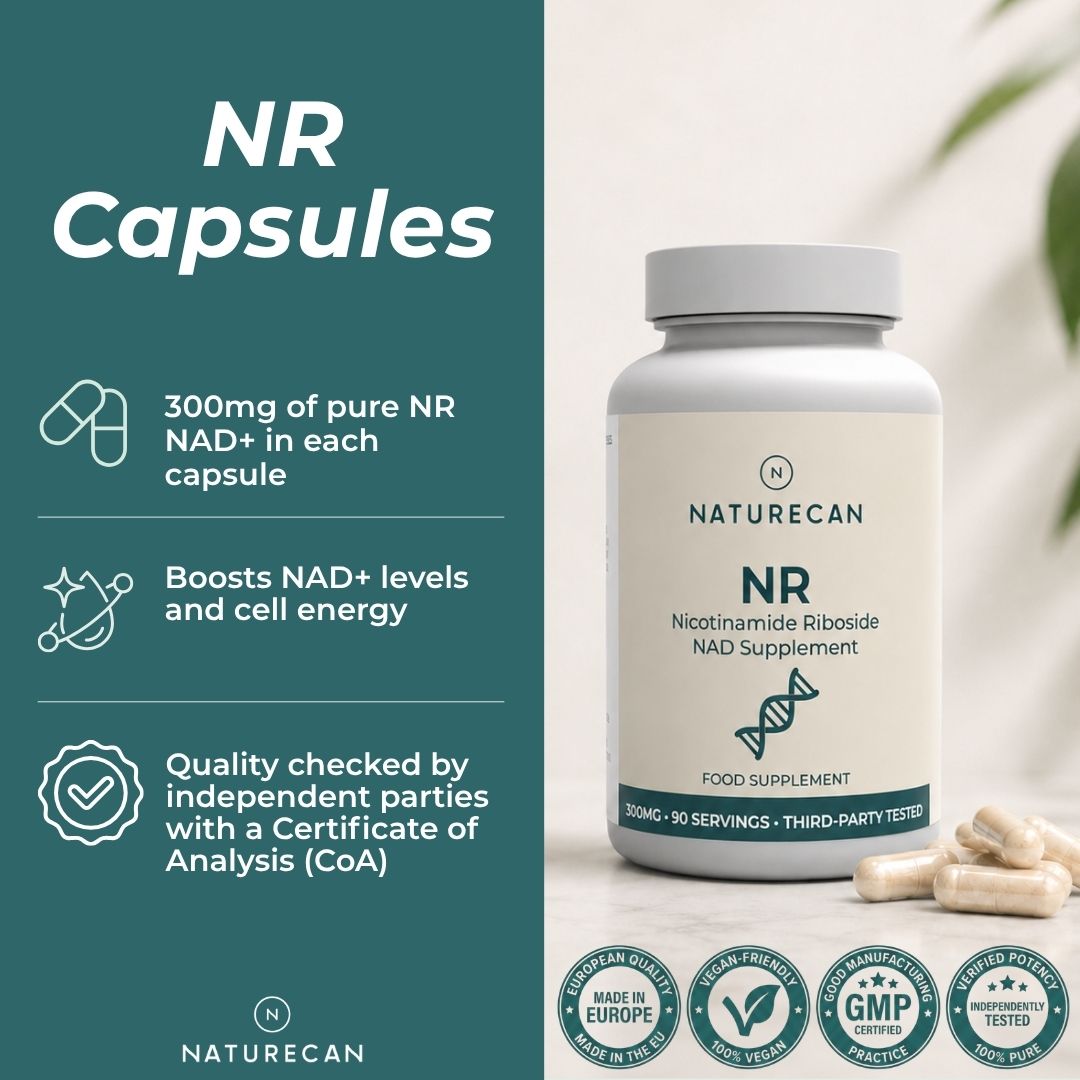 NAD Supplement (NR)