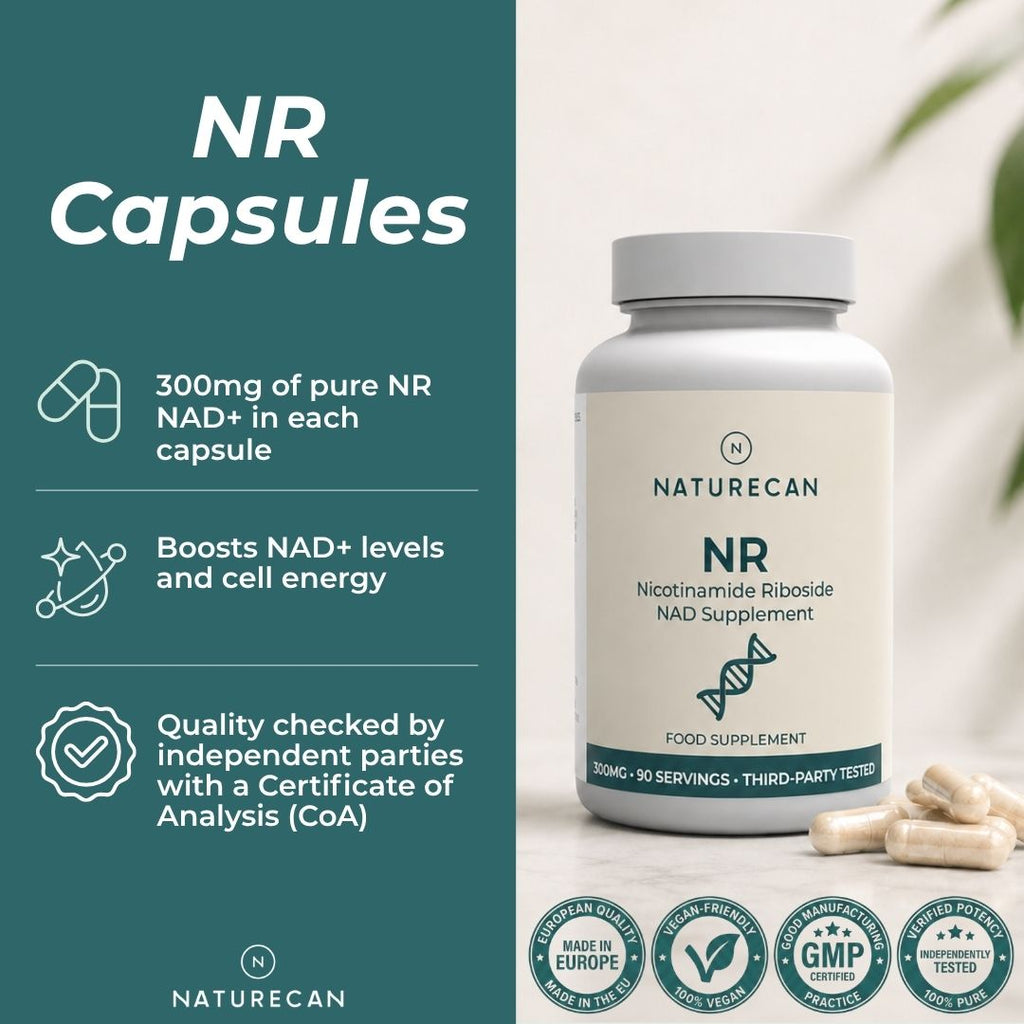 NAD Supplement (NR)