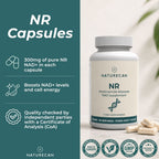 NAD Supplement (NR)