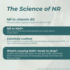 NAD Supplement (NR)