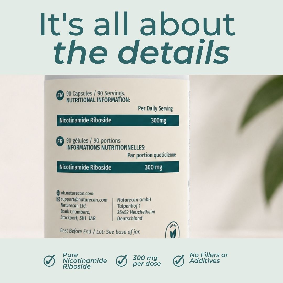 NAD Supplement (NR)