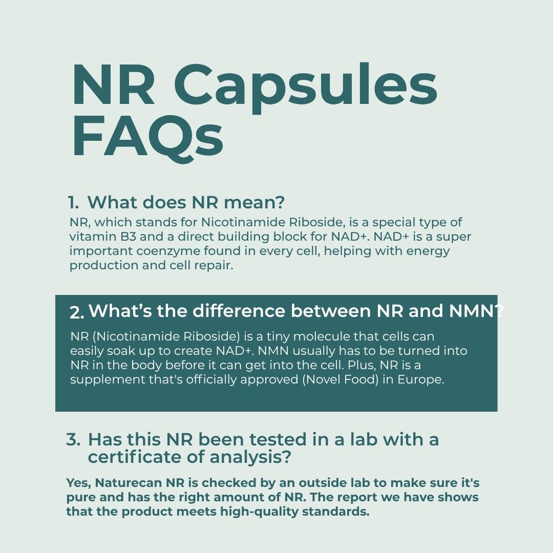 NAD Supplement (NR)