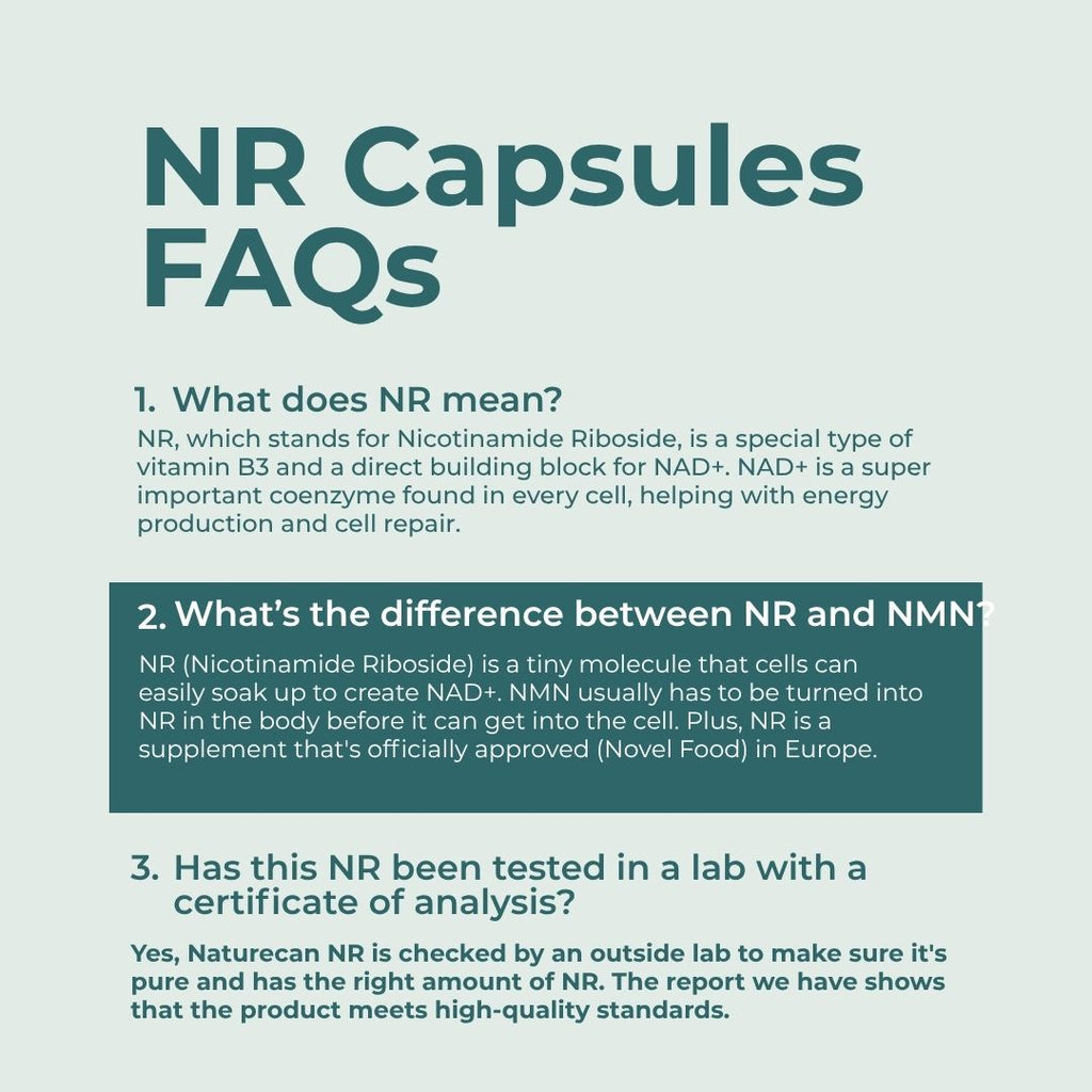 NAD Supplement (NR)