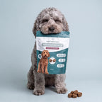 NMN Dog Chews