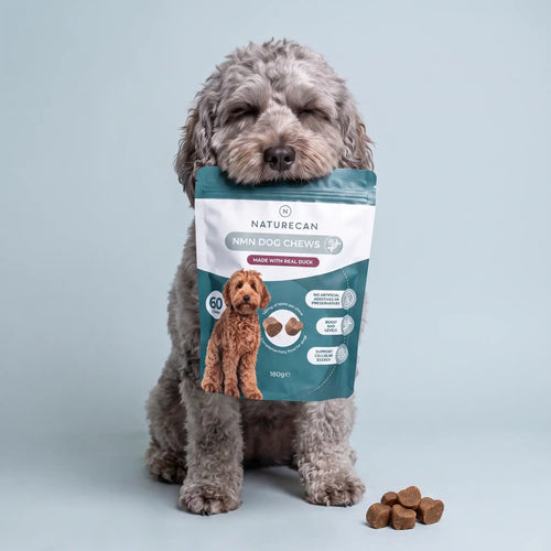 NMN Dog Chews