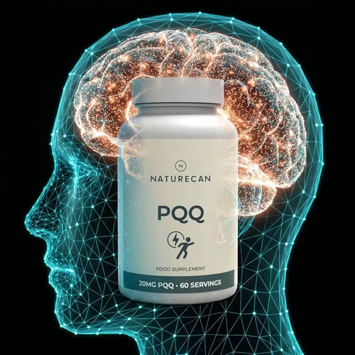 PQQ meaning