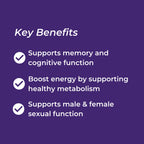 List of key benefits on a purple background