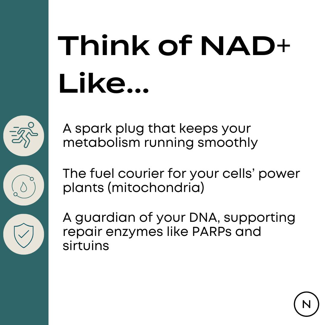 Icons and text describe NAD+ as essential for metabolism, mitochondrial energy, and DNA repair support.
