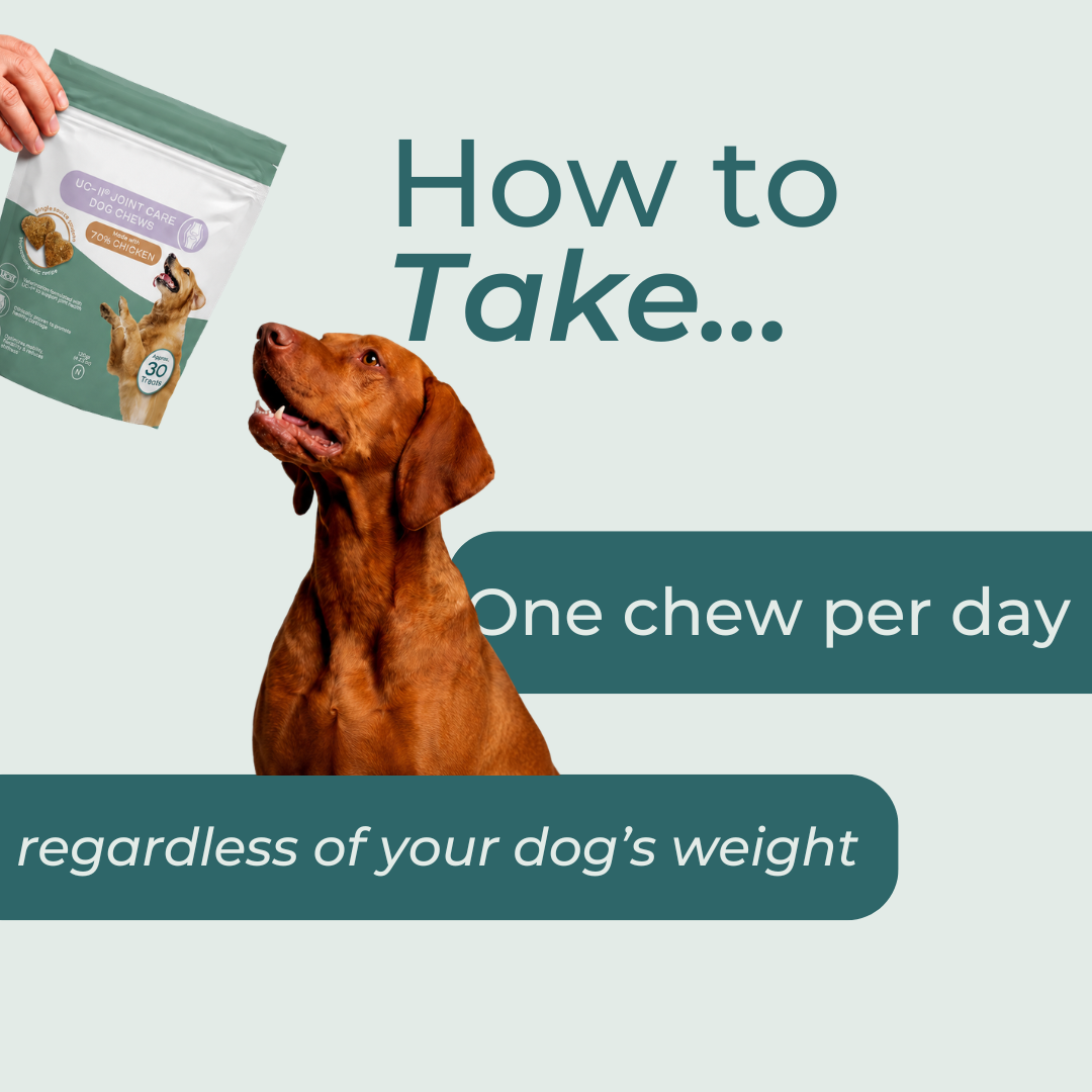 UC-II® Joint Care Dog Chews