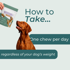 UC-II® Joint Care Dog Chews