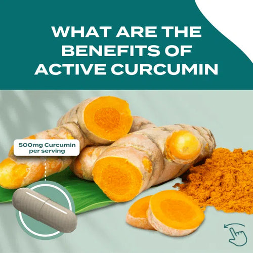novasol curcumin