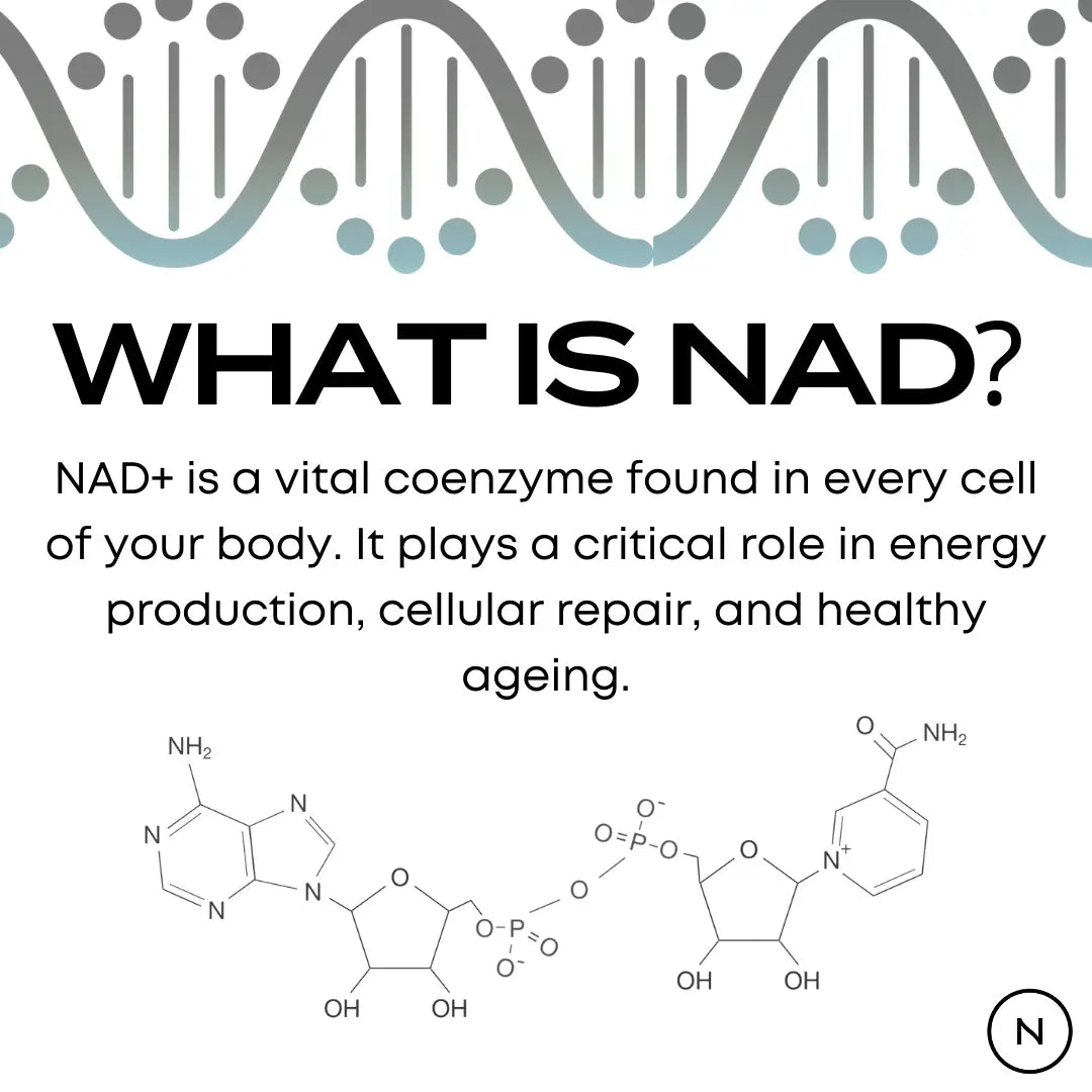 what is nad