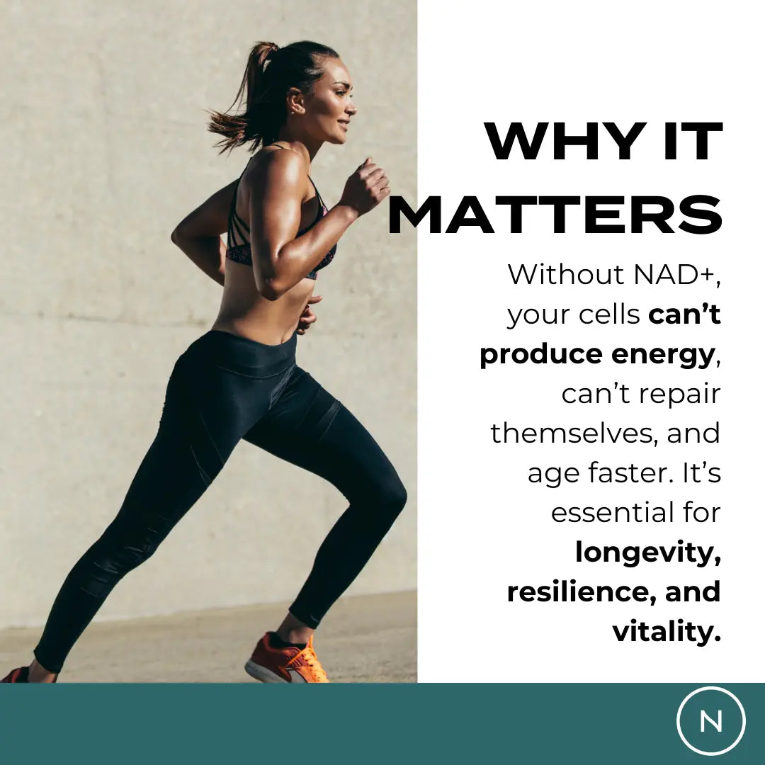 Why NAD levels matter