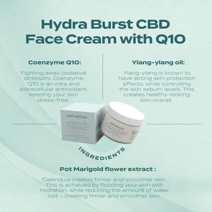 CBD Face Cream Ingredients