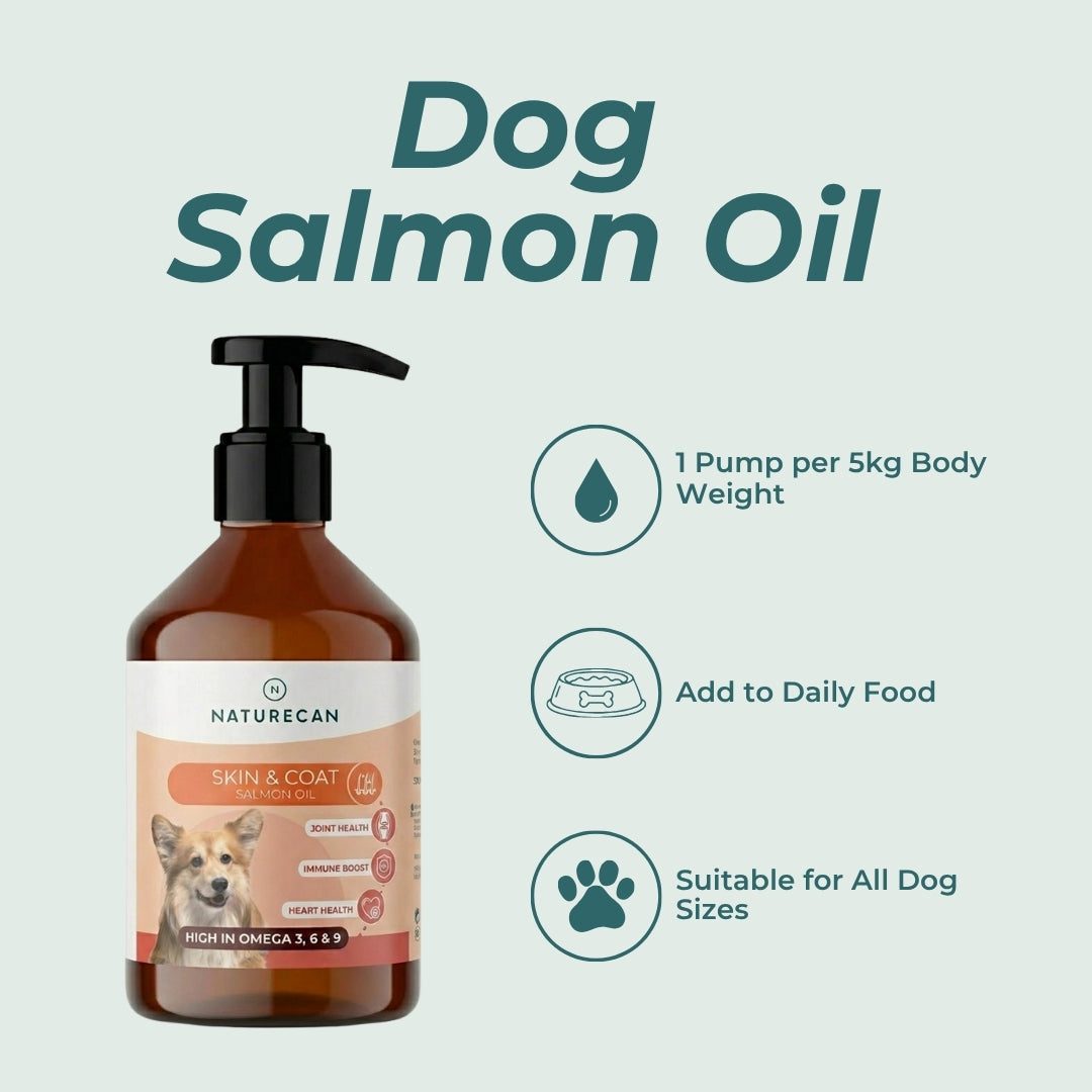 Salmon Oil For Dogs