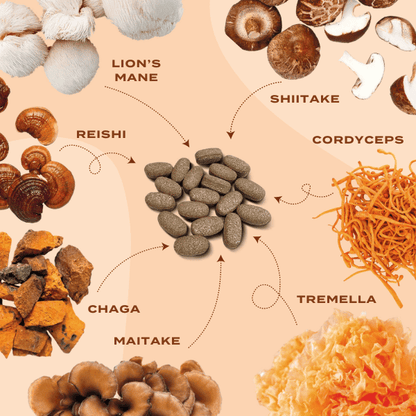 Lion's Mane & Chaga Mushroom Supplement